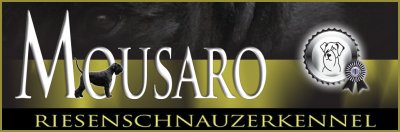 zwarte riesenschnauzers